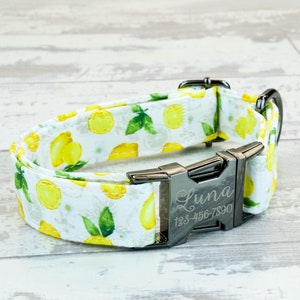 Lemon Dog Collar w/ metal buckle or plastic, HAND MADE , Custom Engraved Personalized Collar, 1 inch wide, designer collars, made in USA!