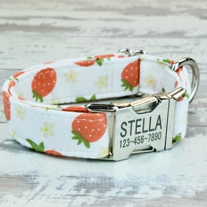 Strawberry Dog Collars w/ metal buckle or plastic, HAND MADE , Custom Engraved Personalized Collar, 1 inch wide, designer collars