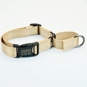 Martingale Dog Collar w/ Plastic buckle, HAND MADE , Custom Engraved Personalized Collar, 1 inch wide, designer collars