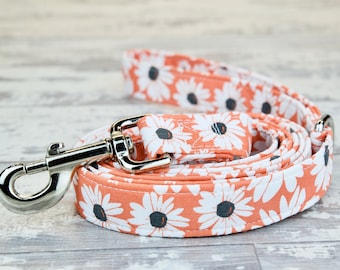 Matching Dog Leashes, 1 inch wide, 4ft or 6ft  long,Metal Hook, Girl and Boy Dog Leash, Matching Dog Leash, Handmade