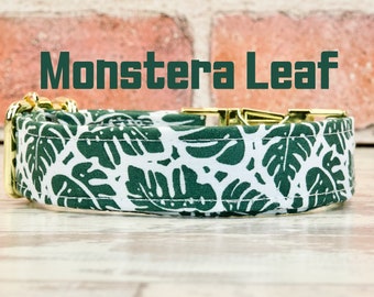 Monstera Leaf Dog or Cat Collar & leash w/ metal buckle or plastic | HAND MADE | Custom Engraved Personalized Collar | 1" or 5/8" wide