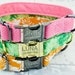 see more listings in the designer dog collars section