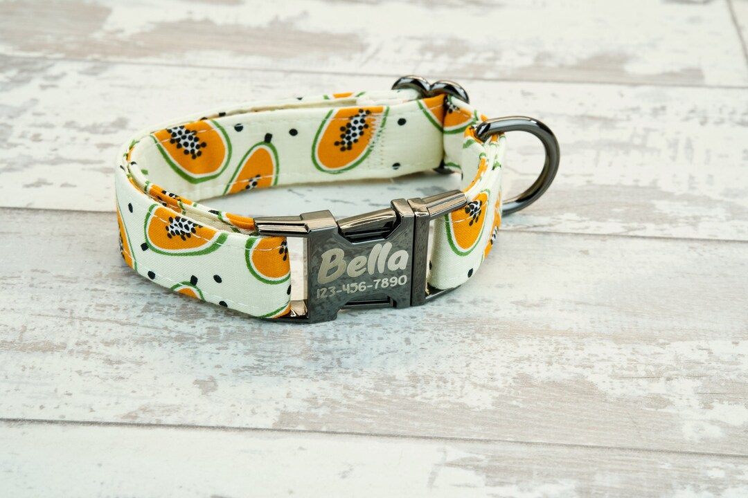 Papaya Fruit Dog Collar W/ Metal Buckle or Plastic HAND MADE Custom