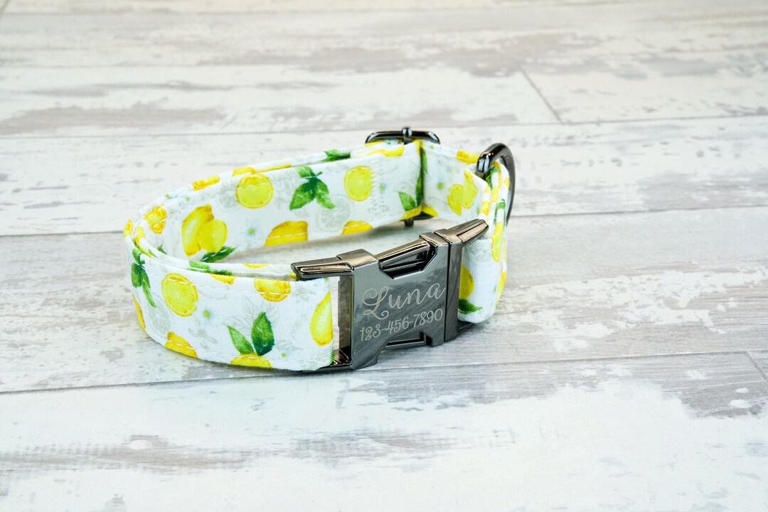 Lemon Dog Collar W/ Metal Buckle or Plastic, HAND MADE , Custom