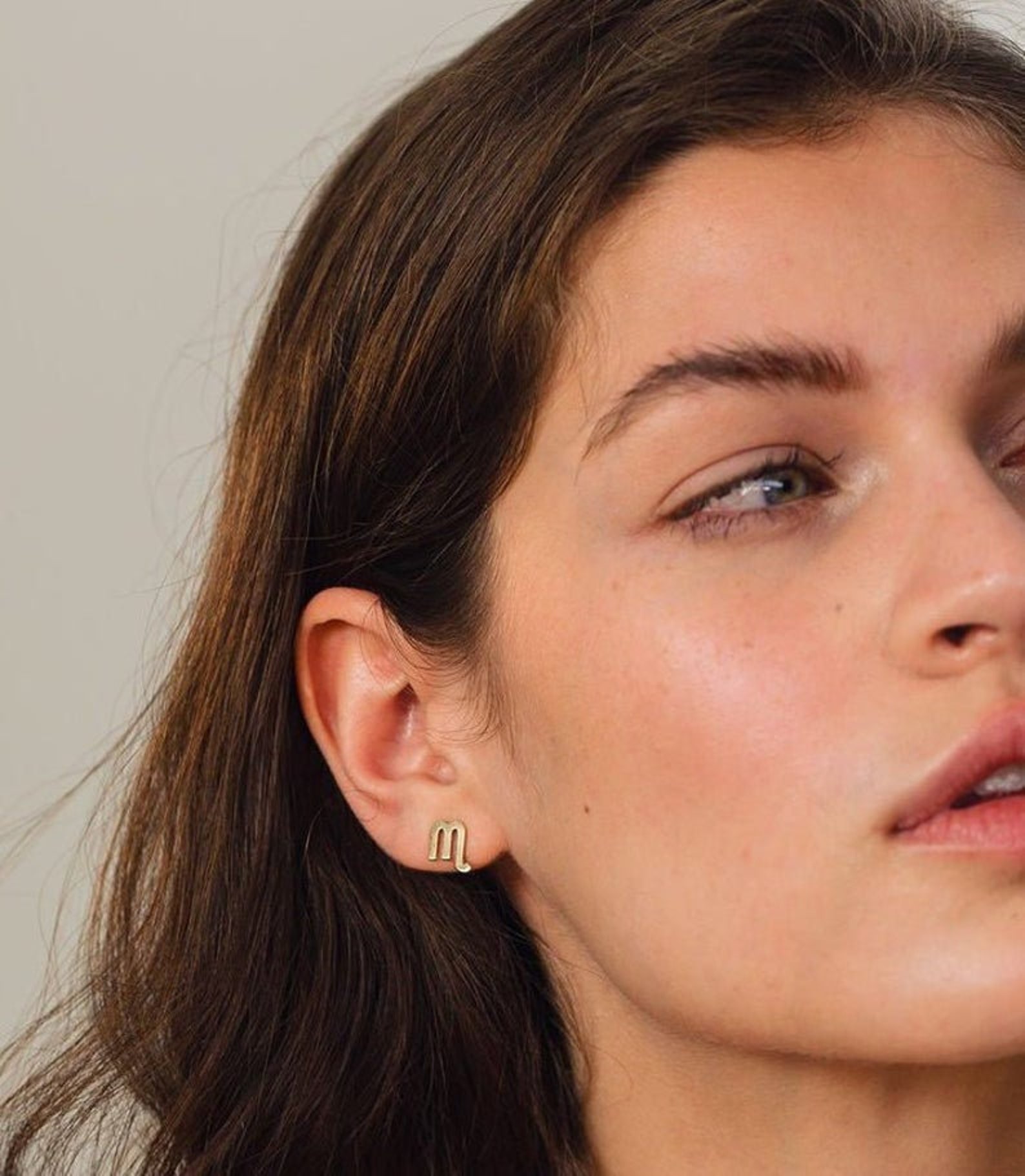 Zodiac Stud Earrings All Zodiac Sign 14k Gold Earring Stud Etsy