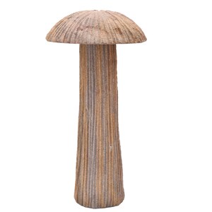 Stone in a shape which call mushroom, tree, umbrella .A STONE FIGURE