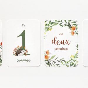 Baby milestone cards - first year and first times - forest animals image 3