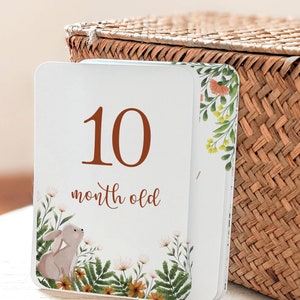 16 Woodland Baby Milestone Cards - squirrel, fox, rabbit - english version - Gender Neutral, Animal Baby Milestone