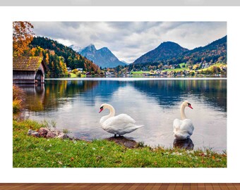 Nature Beautiful Swans Lake Mountain Sunset Beach Austria 3D  Vinyl Sticker Poster Decal Mural Removable s159