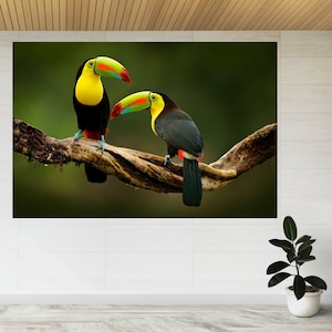Toucan Bird Parrot Branch Forest Wildlife 3d View Wall Sticker Poster Decal A301