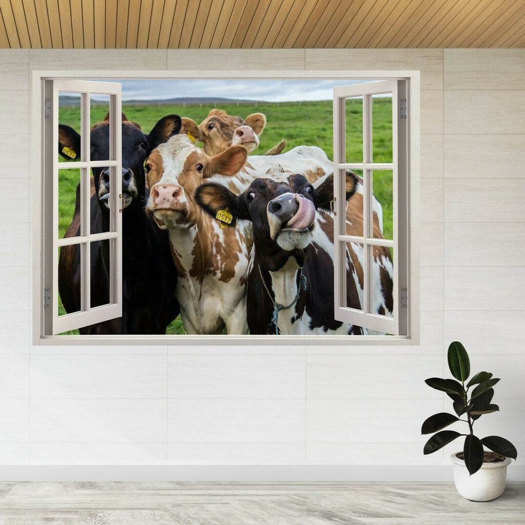 Funny Cows Looking at the Camera 3d Window View Wall Sticker Poster ...