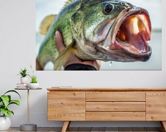 pro bass fishing 3d