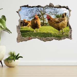 Chicken On A Poultry Farm 3d Smashed View Wall Sticker Poster Decal A726