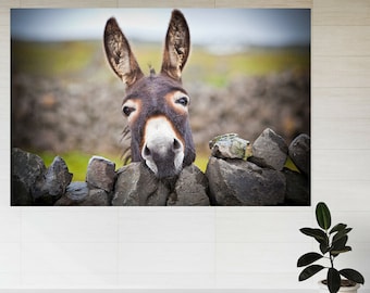 Un bonito burro bajo la lluvia 3d View Pegatina de pared Póster Calcomanía A850