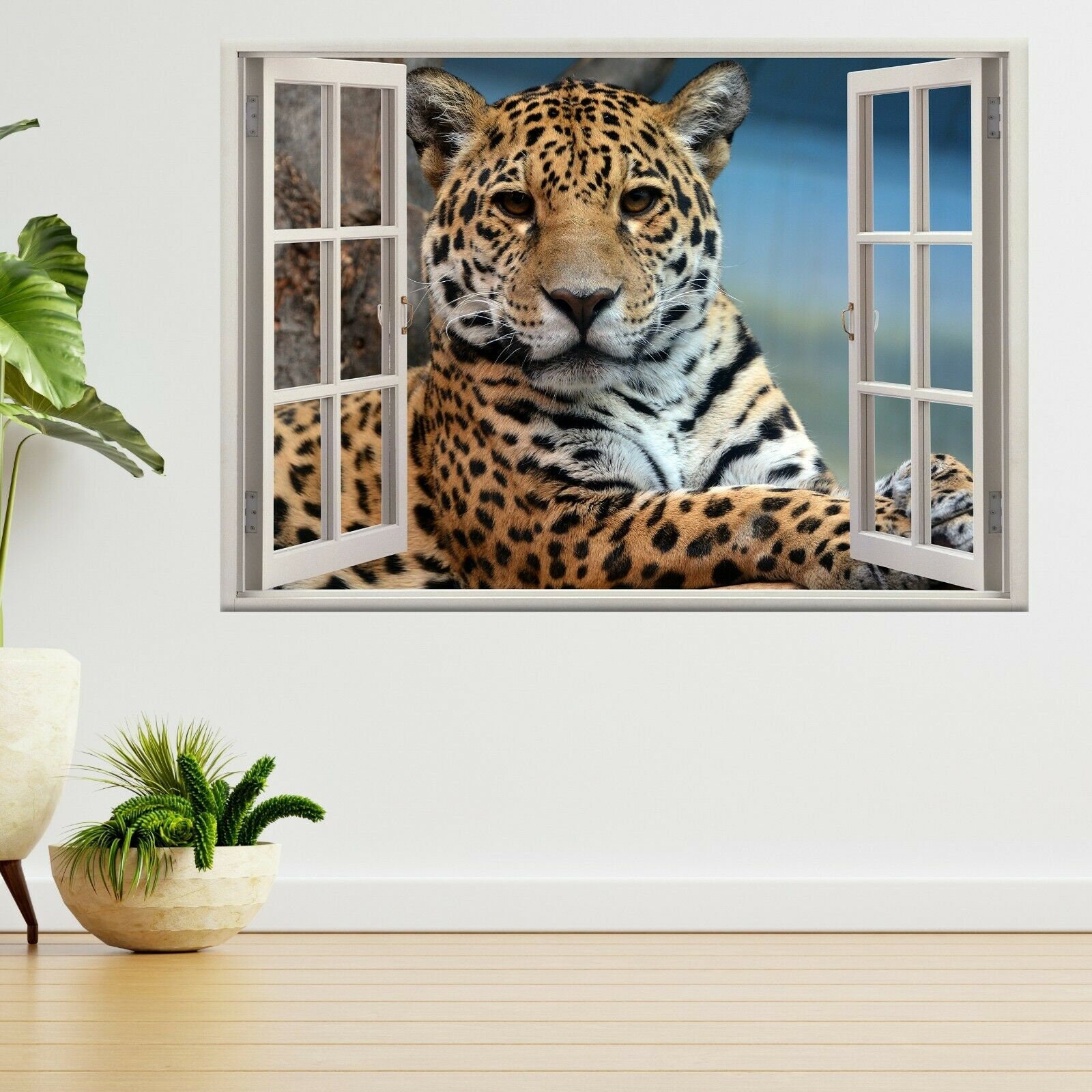 Paisaje Jaguar – Conservar las poblaciones de jaguares que quedan en  Ecuador., image size:1600x1600