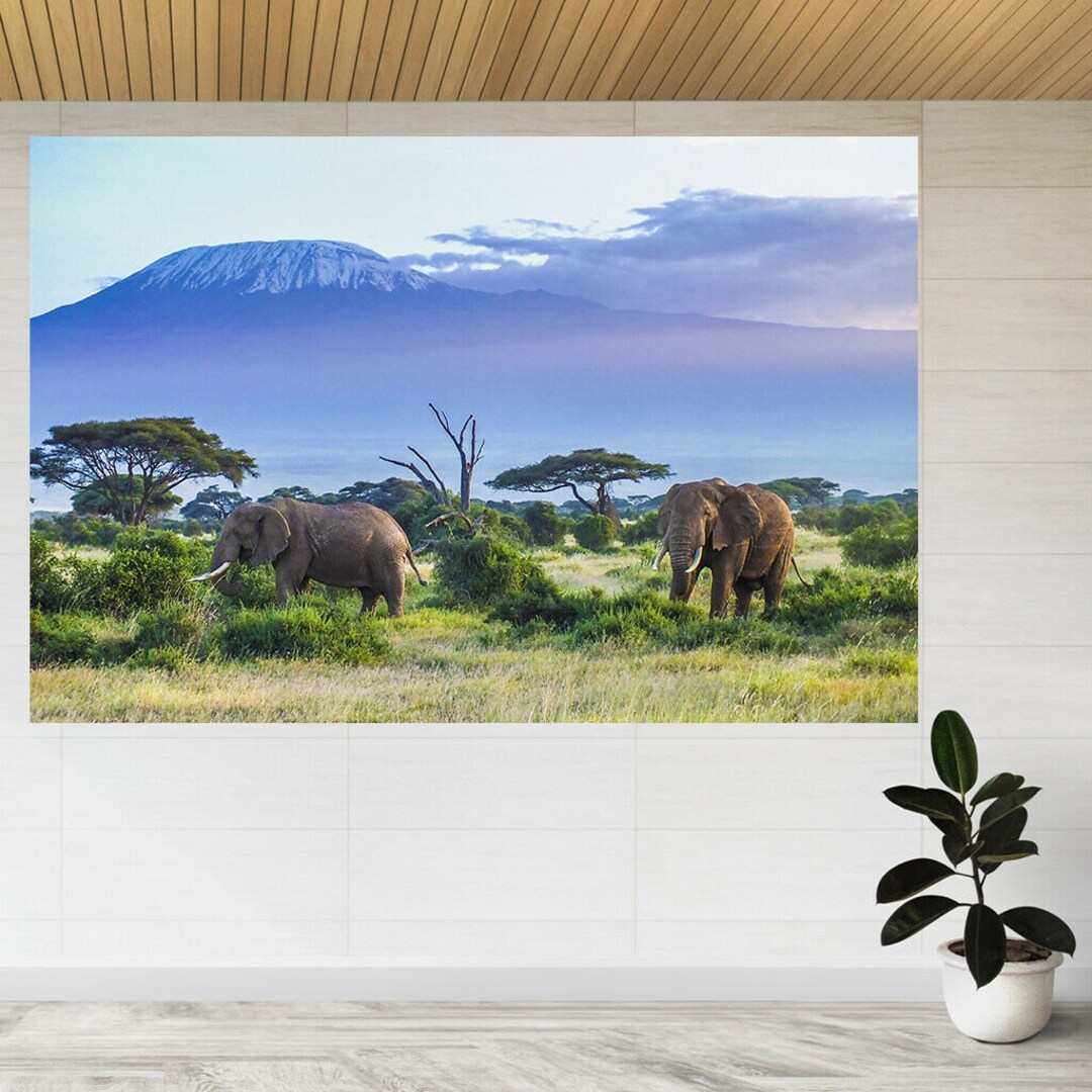YONジュエリーネイチャーコインアフリカ像 Nature Coin African Elephant – YON (ヨン）| 公式オンラインサイト