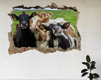 Vacas divertidas mirando a la cámara 3d Smashed View Wall Sticker Poster Calcomanía A675