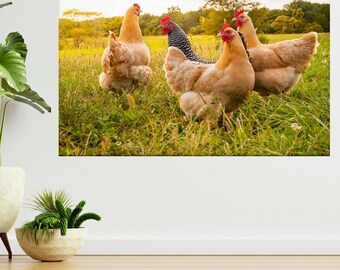 Kip Zonsondergang Natuur 3d Bekijk Muur Sticker Poster Sticker Decal A46