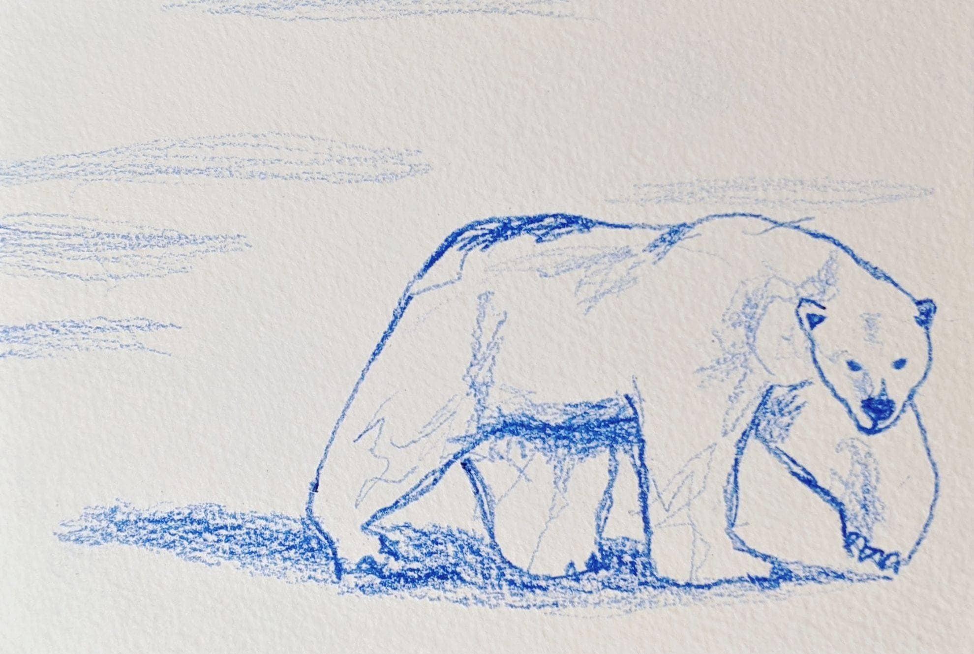 Tell me about the Arctic coloured pencil drawing on paper Etsy