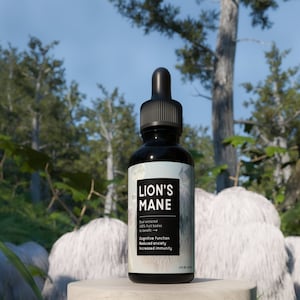 Lion's Mane 2 oz. tincture, 100% fruit bodies, dual extracted