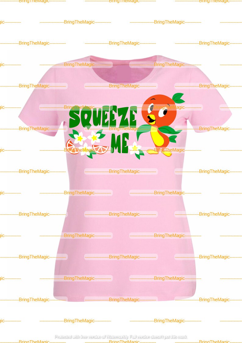 Florida Bird Svg Squeeze Me Transparent Background Png Etsy Uk