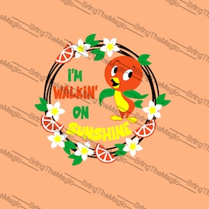 I'm Walkin' on Sunshine, Bird SVG, Festival, DIY Tshirt Design, passende Familie, Florida PNG