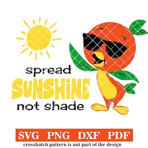 May include: A digital illustration of an orange with sunglasses and a green leaf, spreading sunshine, with the text "spread sunshine not shade" in yellow letters.