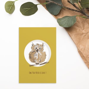 Eule Postkarte Standard Postkarte Eule you need is love
