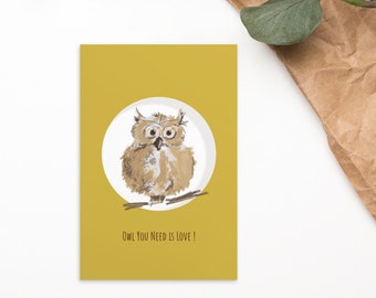 Owl Postcard: 'Owl You Need Is Love' Standard Card