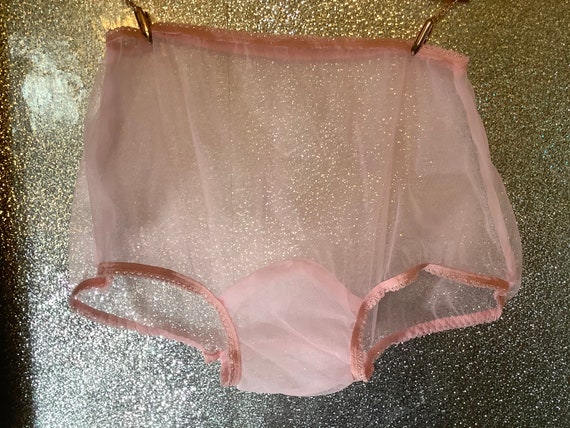 Vintage Style Sheer Nylon Panties 