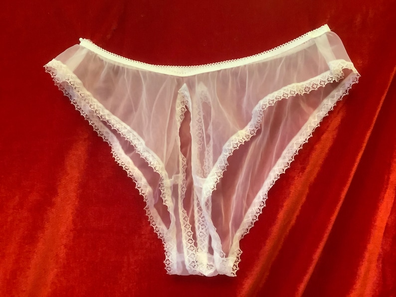 Vintage style sheer nylon open crotch panties | Etsy