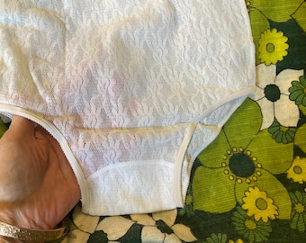 Vintage panties  sheer nylon stretch Helanca lace