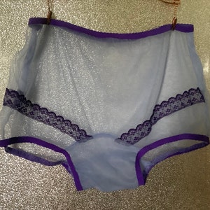 Vintage style sheer   nylon panties