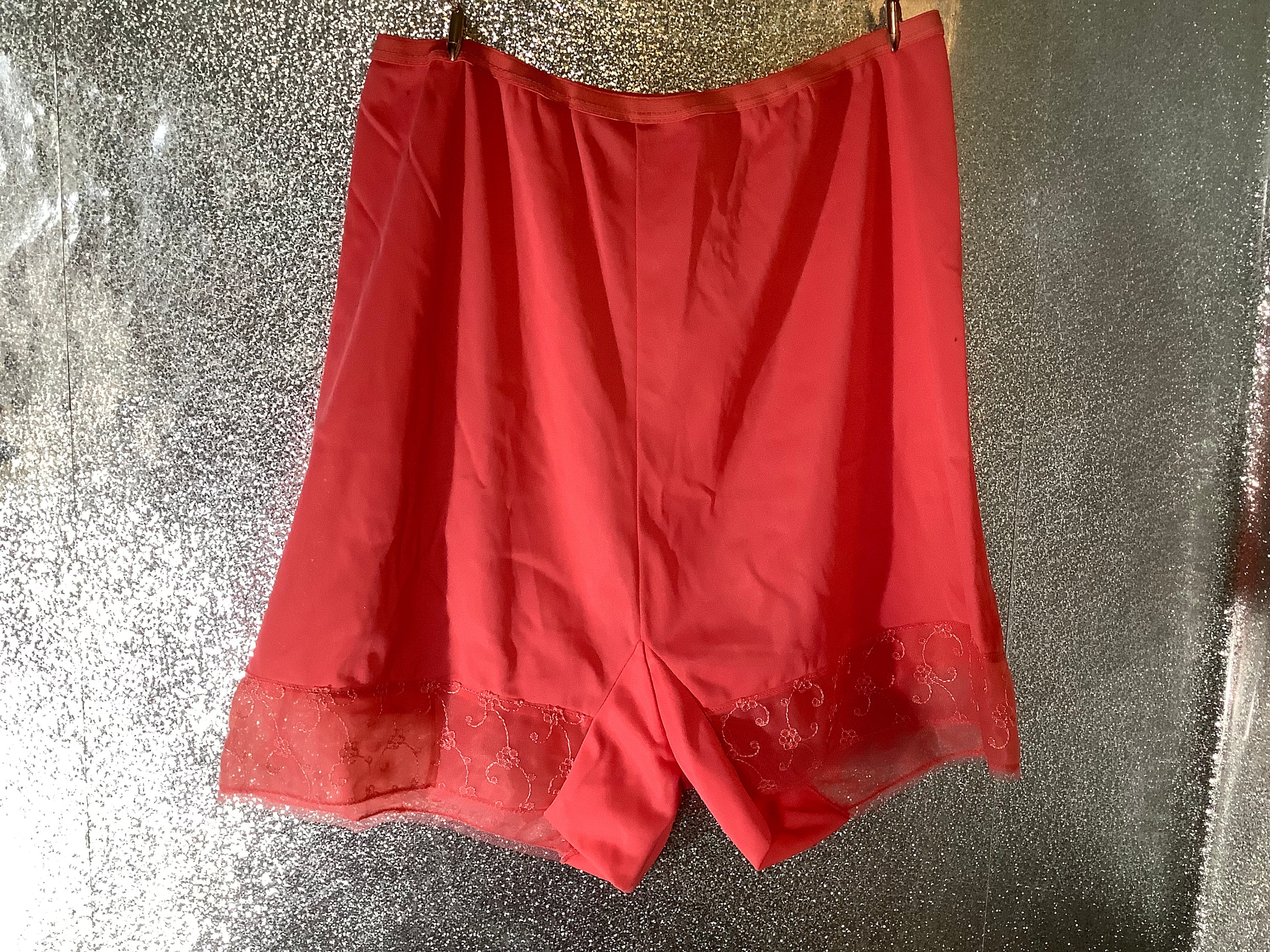 Buy Vintage Womens Panties High Cut Underwear Red Vanity Fair