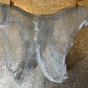Vintage style sheer   nylon Tulle lace trimmed panties