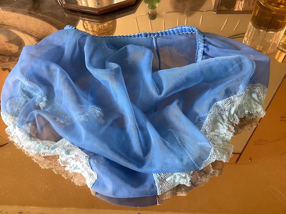 Vintage Sheer Nylon Blue Panties Gem