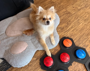 Boutons hexagonaux à emboîtement pour chien qui parle (Ensemble de 4)