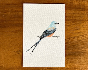Scherenschwanz Postkarte - Set aus 4 Postkarten - Scherenschnäpper - Oklahoma State Bird Postkarte