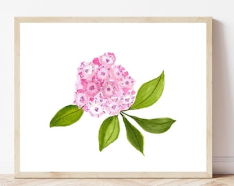 Impressão aquarela Mountain Laurel - Flor do estado da Pensilvânia