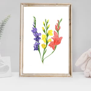 Impression fleur de Gladiolus