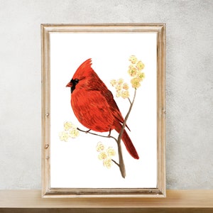 Northern Cardinal Descarga Digital / Cardinal Print / Ave de Estado