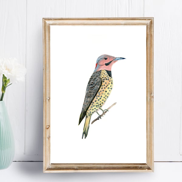 Northern Flicker Print - Pájaro carpintero - Alabama State Bird - Yellowhammer