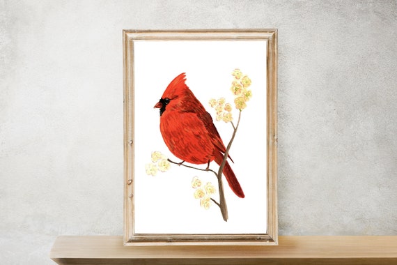Northern Cardinal Digital Download Cardinal Print State Bird