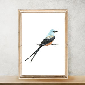 Scissor-tailed flycatcher | Scissortail Print | State bird of Oklahoma