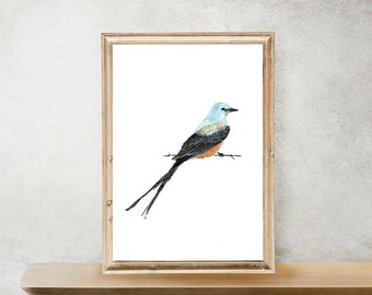 Scherenschwanzfliegen | Scissortail Druck | Zustandsvogel von Oklahoma