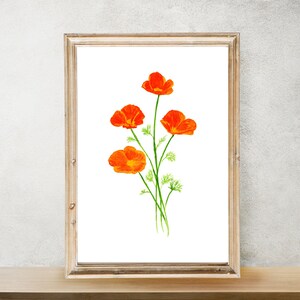 California Poppy Watercolor Print