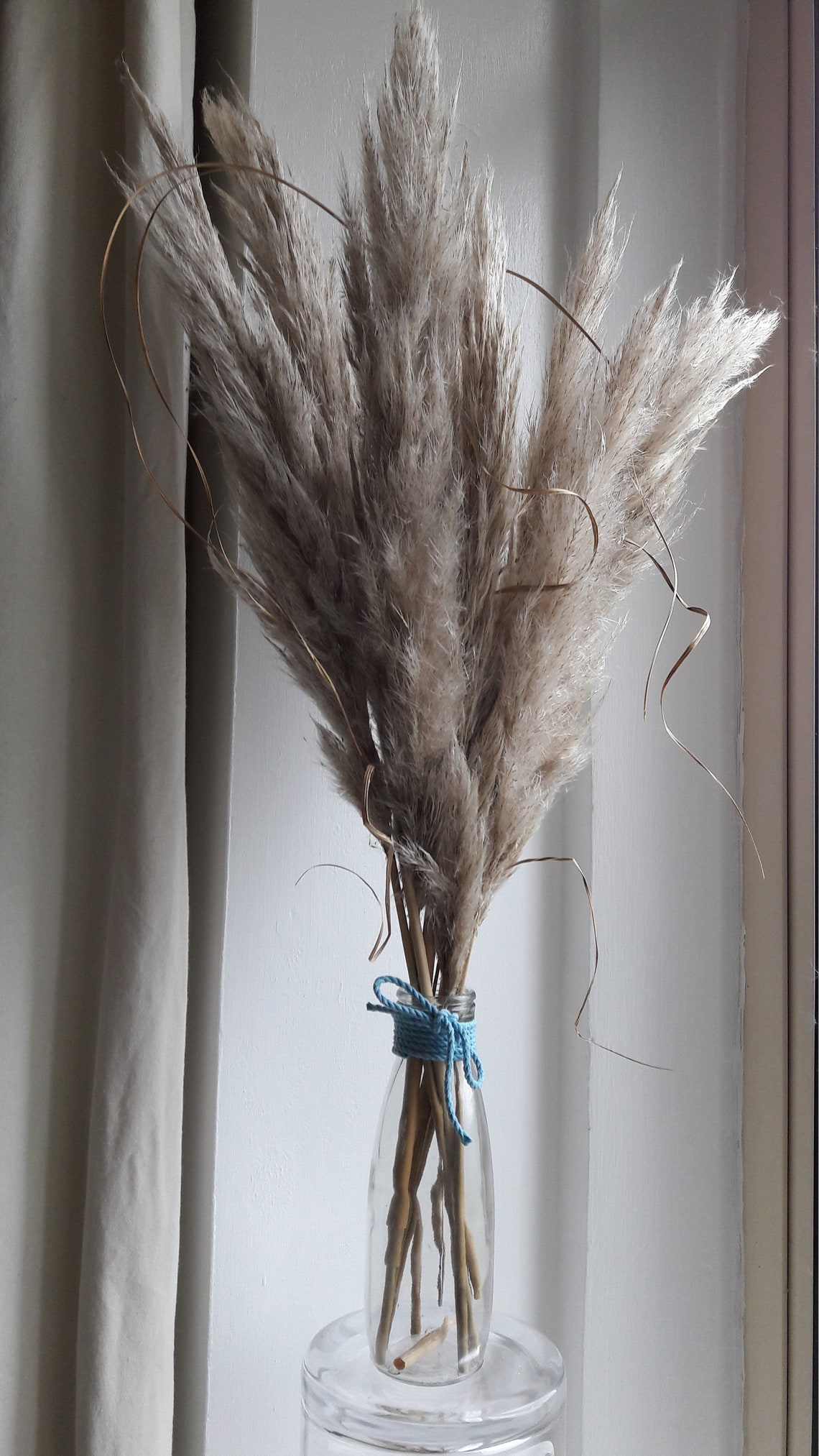 Rustic Pampas Grass in Retro Glass Vase Surrey Farm 56 Etsy