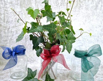Hiedra inglesa perenne en jarrón de cristal: una planta de interior cultivada en casa, ideal como regalo.