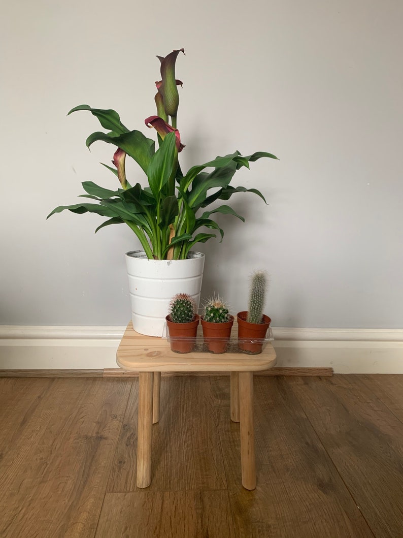 Handmade Wooden Stool/ Rustic Stool/ Wooden Plant Stand - Etsy