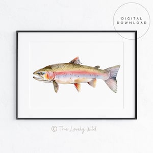 Rainbow Trout Wall Art Trout Painting Fish Art Printable Nature Digital Download Vintage Illustration Fishing Seaside Cottagecore Art Print